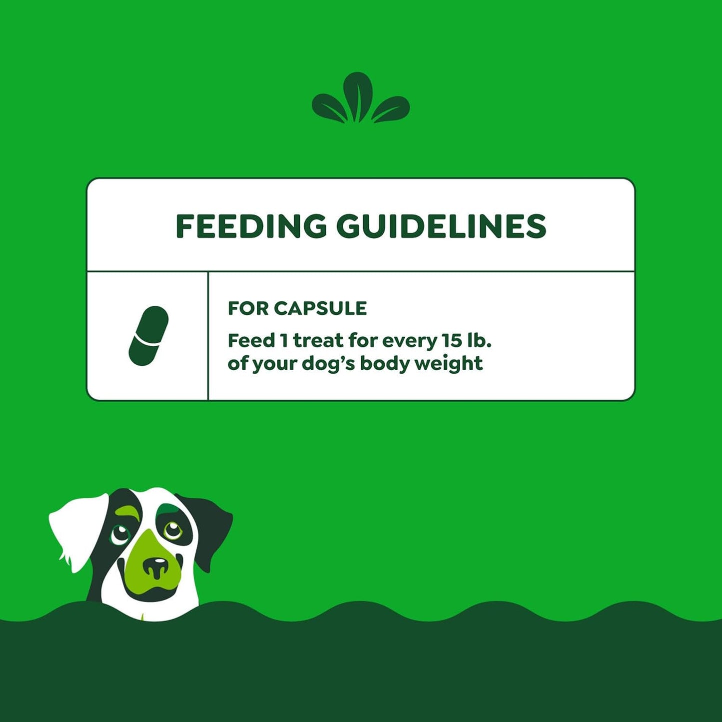 Greenies Pill Pockets for Dogs Large Size, Dog Treat Pouch for Capsule Medication, Peanut Butter Flavor, 15.8 oz. Pouch