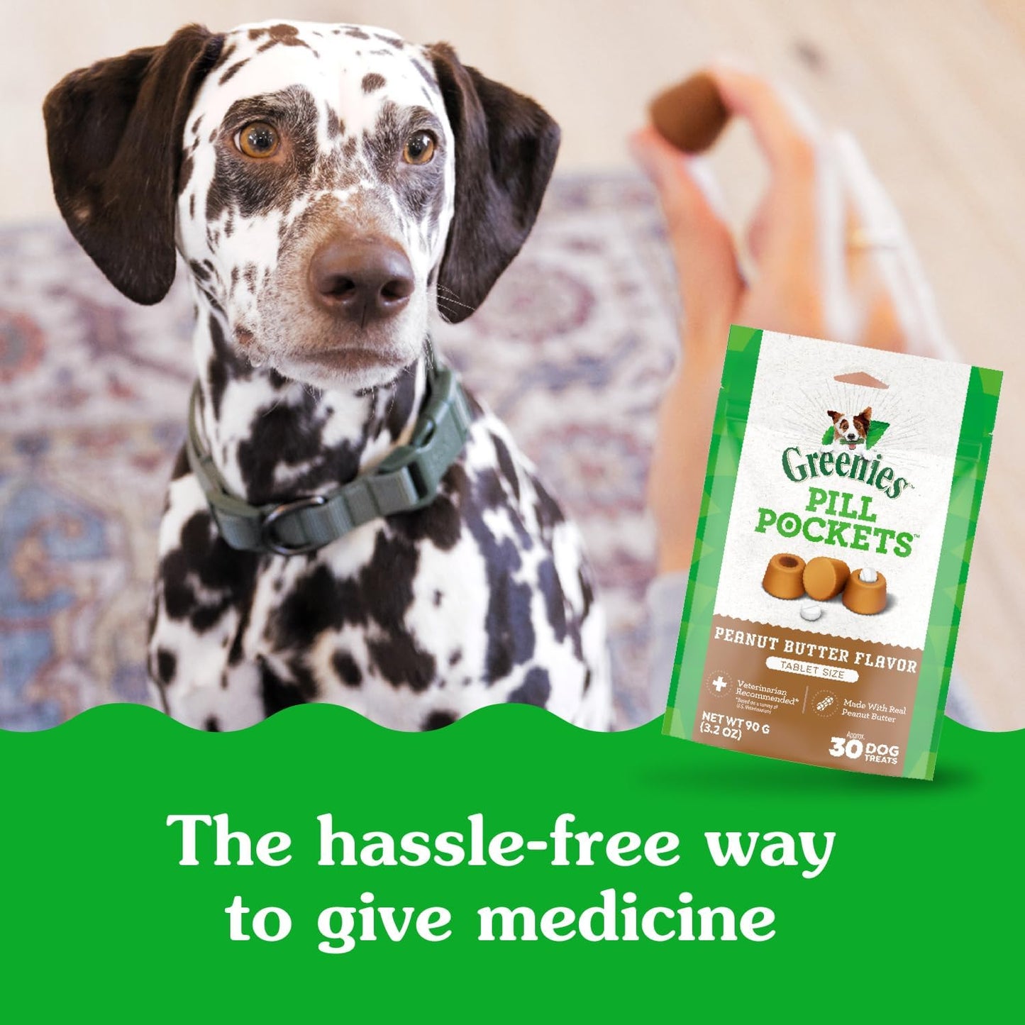 Greenies Pill Pockets for Dogs Large Size, Dog Treat Pouch for Capsule Medication, Peanut Butter Flavor, 15.8 oz. Pouch