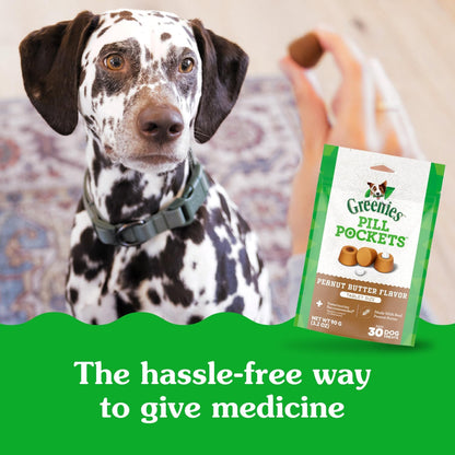 Greenies Pill Pockets for Dogs Large Size, Dog Treat Pouch for Capsule Medication, Peanut Butter Flavor, 15.8 oz. Pouch