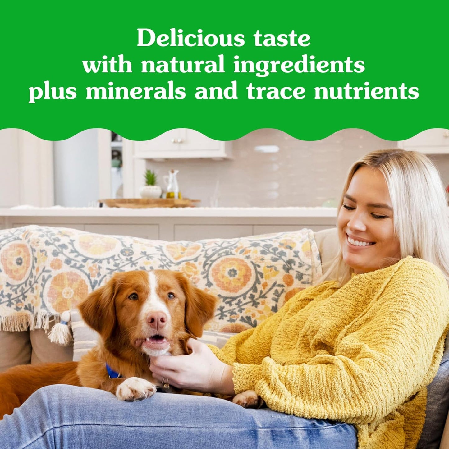 Greenies Pill Pockets for Dogs Large Size, Dog Treat Pouch for Capsule Medication, Peanut Butter Flavor, 15.8 oz. Pouch